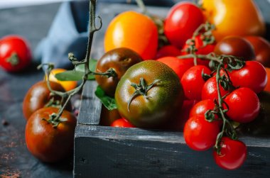 Tahta kutuda taze domates. Tahta bir kutuda domates çeşitleri. Taze sebzeler. Siyah ahşap arka planda.