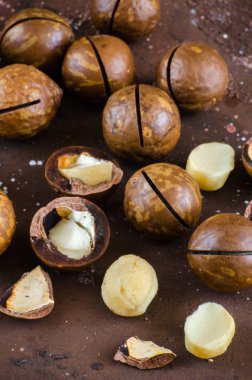 Macadamia somun yakın çekim karanlık bir arka plan üzerinde.