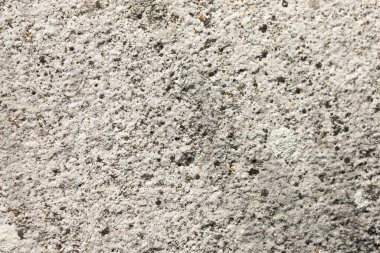 Leğen ve yosunla kaplı beton taş duvarın eski asbest tabakası. Endüstriyel malzeme doğal konsept.