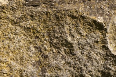 Dikensiz kaya duvar dokusunun soyut bir örneği. Yakın çekim..