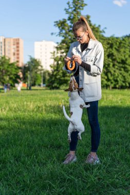Kot elbiseli genç beyaz kız çimlerin üzerinde evcil bir köpek Jack Russell Terrier ile oynuyor.