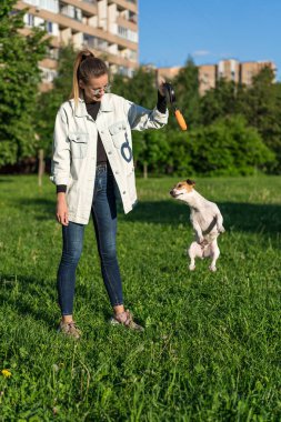 Kot elbiseli genç beyaz kız çimlerin üzerinde evcil bir köpek Jack Russell Terrier ile oynuyor.