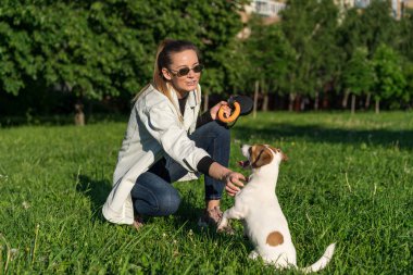 Kot elbiseli genç beyaz kız sokakta evcil köpeği Jack Russell Terrier 'ı eğitiyor.