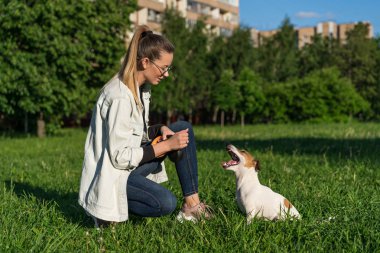 Kot elbiseli genç beyaz kız sokakta evcil köpeği Jack Russell Terrier 'ı eğitiyor.