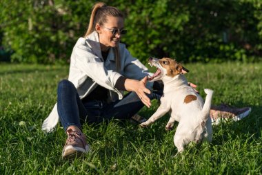 Kot elbiseli genç beyaz kız sokakta evcil köpeği Jack Russell Terrier 'ı eğitiyor.