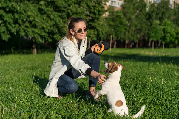 Kot elbiseli genç beyaz kız sokakta evcil köpeği Jack Russell Terrier 'ı eğitiyor.