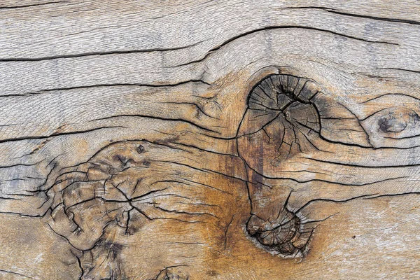 Oak Tree textur med sprickor och knutar — Stockfoto
