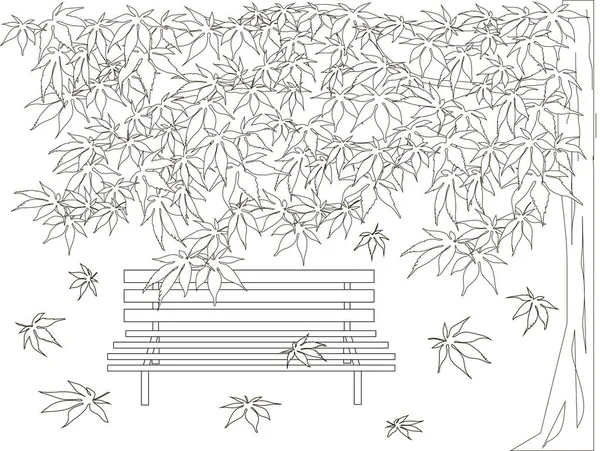 Juharfa Pad Maple Tartozó Levelek Vázlat Fekete Fehér Romantikus Hátteret — Stock Vector