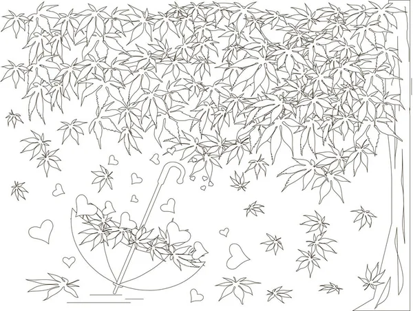 Javor Padající Maple Listy Skica Deštník Černobílé Romantické Pozadí Omalovánky — Stockový vektor