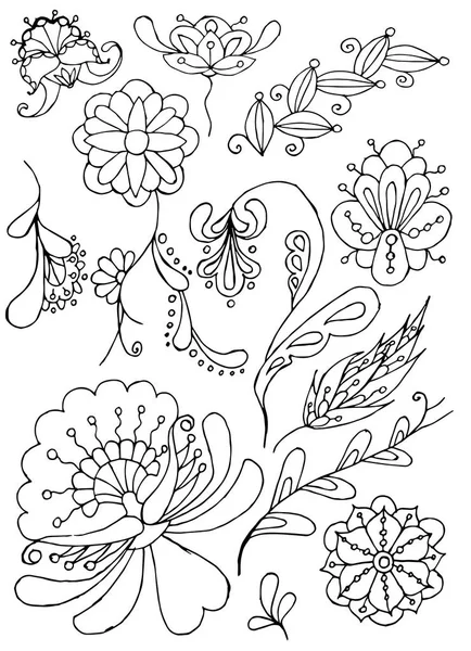 Ręka Ciągnione Clipartów Kwiatowy Stylizowane Cienkie Linie Monochromatyczne Kwiatów Liści — Wektor stockowy