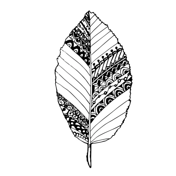 Μονόχρωμη Doodle Hornbeam Φύλλο Για Βιβλίο Σελίδες Χρωματισμού Antistress Απόθεμα — Διανυσματικό Αρχείο