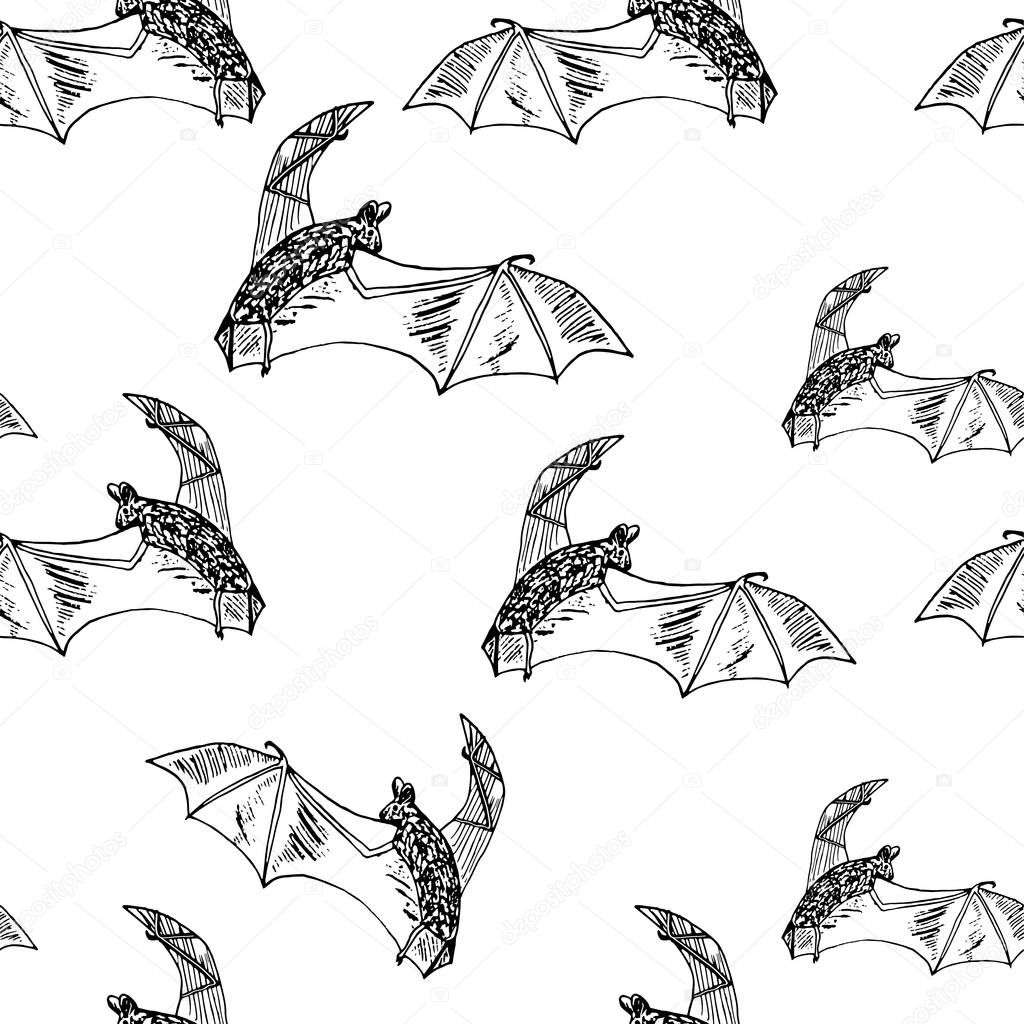 Hand drawn ink monochrome bat sketch seamless pattern on white stock vector illustration for print, for web