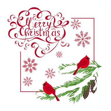 Tipografi afiş Merry Christmas, kırmızı harflerle kırmızı Kardinaller köknar ağacı beyaz hisse senedi üzerinde baskı, kutlama kartı illüstrasyon vektör