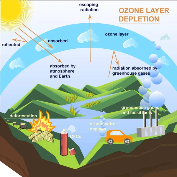 Scheme Ozone Cycle Depletion Flats Design Stock Vector Illustration Education — Stock Vector