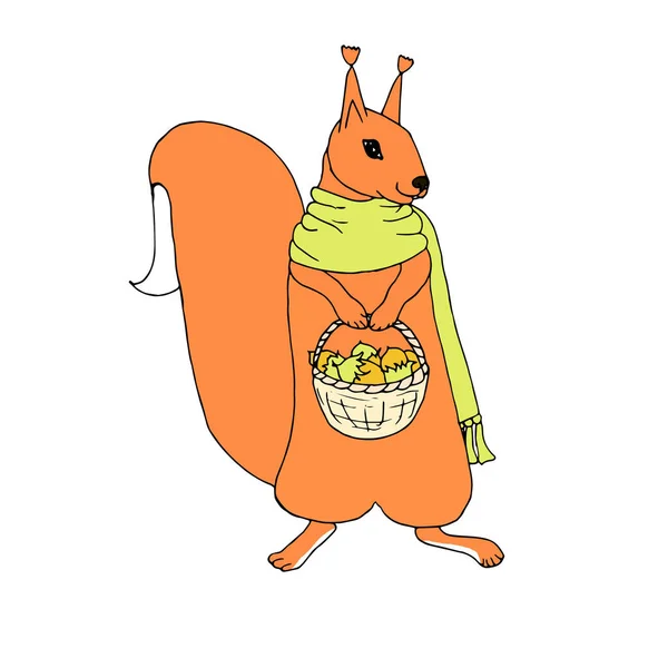 Linda Ardilla Naranja Con Canasta Nueces Bufanda Verde Dibujos Animados — Vector de stock