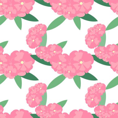 Zakkum çiçeği sorunsuz arka plan. Beyaz üzerine pembe, çiçekler. Duvar kağıdı, kağıt ambalaj, öğe hisse senedi vektör çizim tasarım