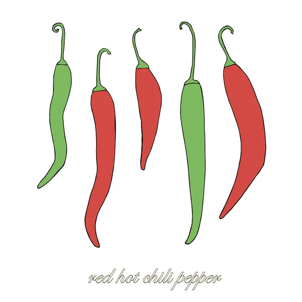 Rote Chilischoten Handgezeichnet Rote Und Grüne Skizze Würze Gewürz Schwarz — Stockvektor