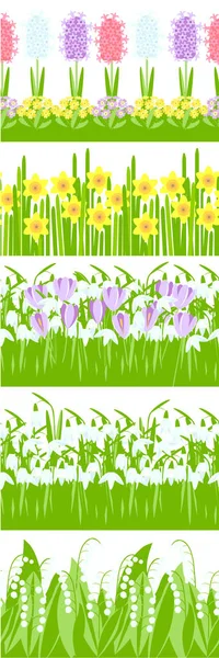 Borde Conjunto Floral Sin Costuras Plantas Primavera Narciso Jacinto Azafrán — Vector de stock