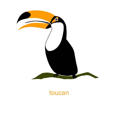 Şirin toucan kuş vektör renk karakter kümesi. Siyah, turuncu renkli kroki robin. Orman hayvan doodle çizim, izole İskandinav karikatür kids kitabı, tekstil, plakası, web için