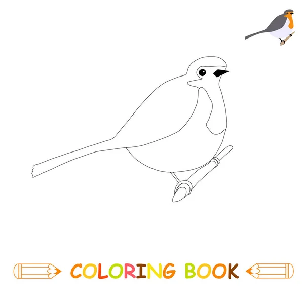 孩子着色页向量例证 可爱的知更鸟在单色和颜色版本为孩子着色书 — 图库矢量图片