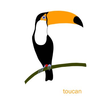 Şirin toucan kuş vektör renk karakter kümesi. Siyah, turuncu renkli kroki robin. Orman hayvan doodle çizim, izole İskandinav karikatür kids kitabı, tekstil, plakası, web için