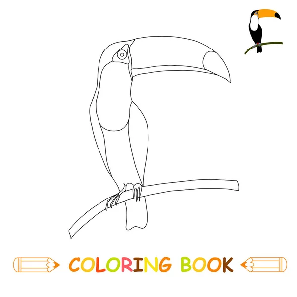 Kinderen Kleurplaten Pagina Vector Illustratie Schattige Toucan Zwart Wit Kleur — Stockvector