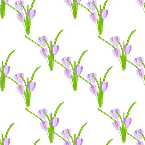 Krokus Nahtlosen Hintergrund Violette Frühlingsblumen Grüne Blätter Auf Weißem Hintergrund — Stockvektor