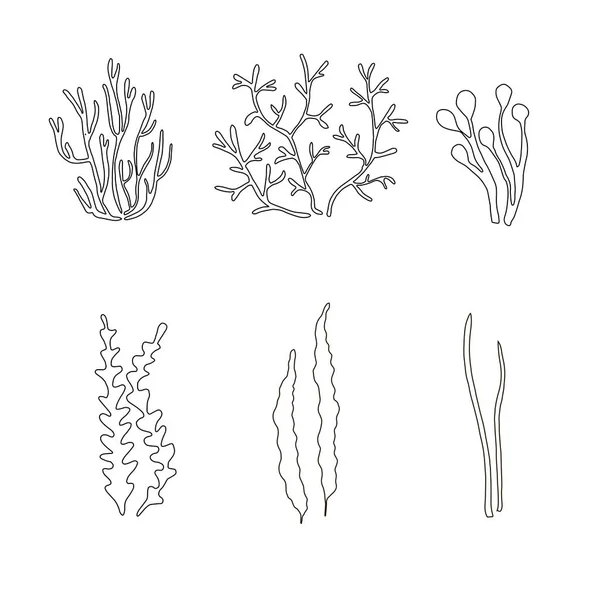 藻类和珊瑚单色素描 艺术设计元素股票向量例证为网 为打印 — 图库矢量图片