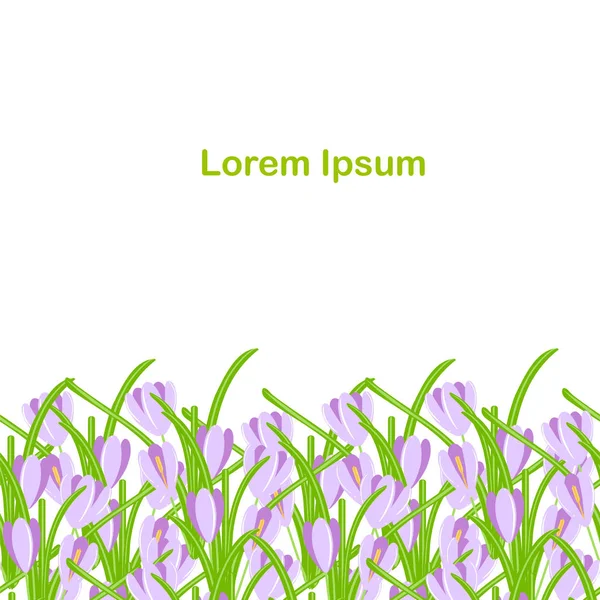 クロッカスのシームレスな背景 紫春の花 白い背景 ばねの設計 Lorem イプサムの緑の葉します 印刷用 Web 用のフラットなデザイン要素株式ベクトル図 — ストックベクタ