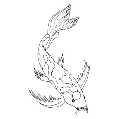 Koi sazan. Balık tek renkli tasarım elemanı nesne web için stok vektör illüstrasyon izole, baskı için