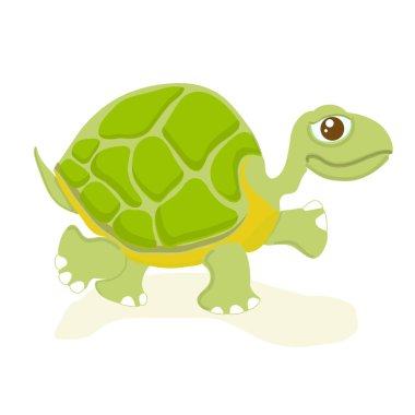 Kaplumbağa sevimli karikatürler kroki. Düz tasarım öğe izole kaplumbağa nesne vektör yeşil tasarım Web için, baskı