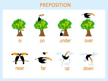Preposition of motion for preschool, worksheet stock vector illustration, for education, for english lessons, for web, for print. Toucan and tree flat design, part 1 clipart