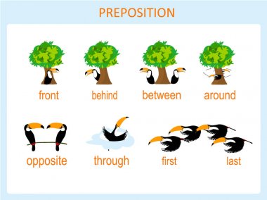 Preposition of motion for preschool, worksheet stock vector illustration, for education, for english lessons, for web, for print. Toucan and tree flat design, part 2