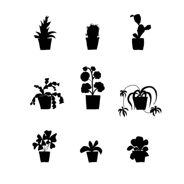 Planta Maceta Conjunto Iconos Monocromáticos Oxalis Chlorophytum Orquídea Pelargonium Schlumbergera — Vector de stock