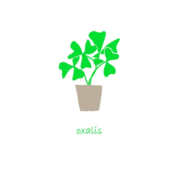 Oxalis Planta Maceta Icono Conjunto Diseño Plano Objeto Aislado Stock — Vector de stock