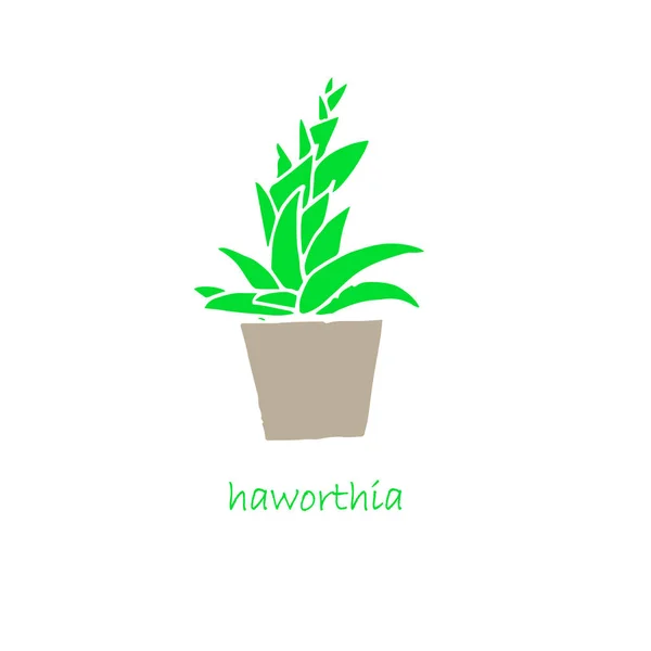 Haworthia Planta Maceta Icono Conjunto Diseño Plano Objeto Aislado Stock — Vector de stock