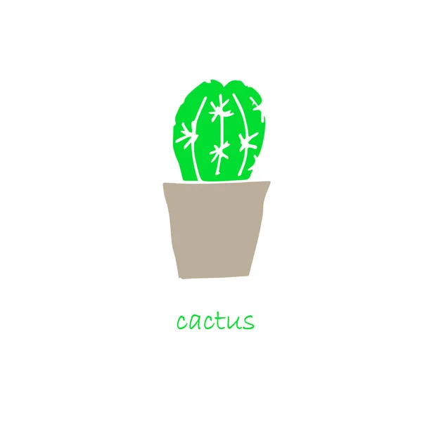 Kaktuspflanze Topf Icon Set Flache Design Objekt Isoliert Stock Vektor — Stockvektor