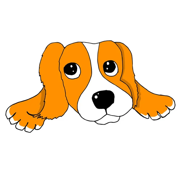 悲伤的狗素描 红色动物手绘设计库存矢量插图为网络 用于打印 — 图库矢量图片