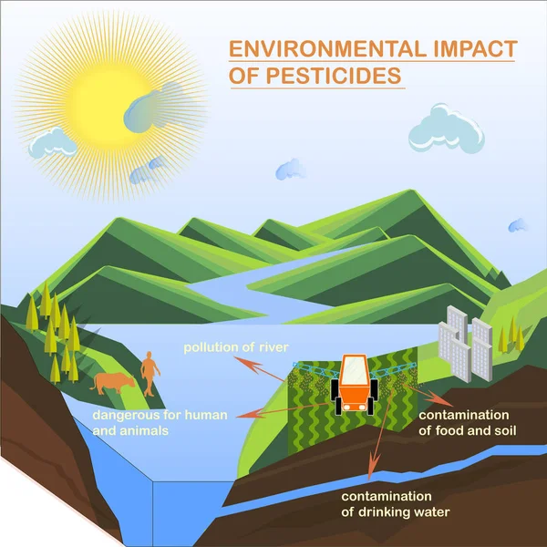 Environmental Impact Pesticides Fertilised Insecticides Scheme Education Modern Flat Design — Stock Vector