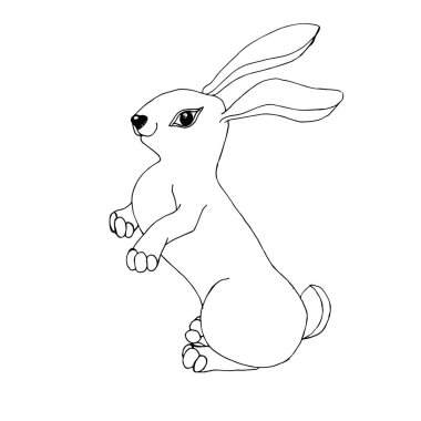 Tavşan scetch karikatürler illüstrasyon nesne web için tasarım elemanı stok vektör illüstrasyon, baskı için
