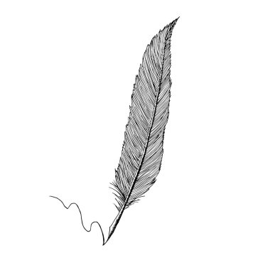 Tüy kalem çizim nesnesi yalıtılmış tasarım elemanı stok vektör illüstrasyon web için, baskı için