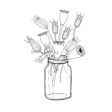 Doodle sevimli aquilegias, Viburnum, kavanoz içinde Popover meyveler. Tek renkli kroki güzel dekoratif bitki görüntü stok vektör illüstrasyon Web, baskı için, boyama kitabı için, Antistress sayfa 