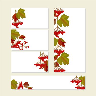 Çiçek sonbahar beyaz kırmızı viburnum meyve şirin demetleri ile şablonları. Romantik sezon tasarımı için, duyurular, tebrik kartları, posterler, reklam, web için bahçe stok vektör illüstrasyon, baskı için