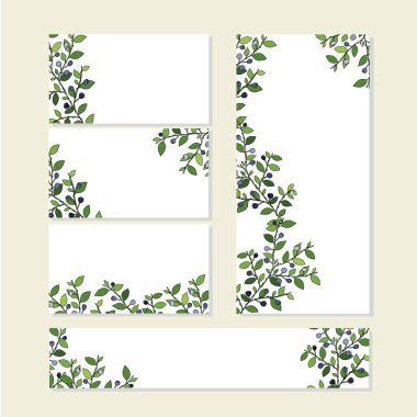 Çiçek bahar şablonu bue meyve yeşil sevimli demetleri ile ayarlanmış beyaz yaban mersini yaprakları. Romantik tasarım için, 