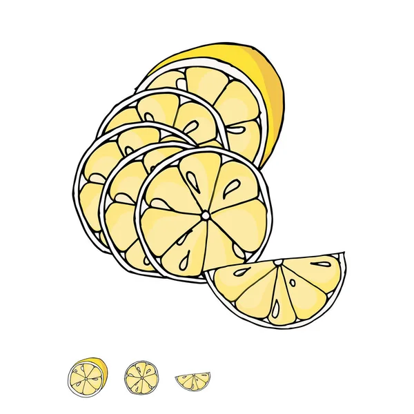 Découpé Citron Aquarelle Image Jaune Fruit Stock Vectoriel Illustration Contour — Image vectorielle