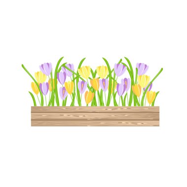 Tahta kutularda timsah. Sarı menekşe çiçekleri sanat tasarımı bahçe tasarımı, web, baskı için stok vektör çizimi