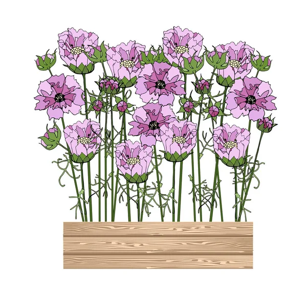 Cosmos Cajas Madera Flores Rosas Diseño Arte Stock Vector Ilustración — Vector de stock