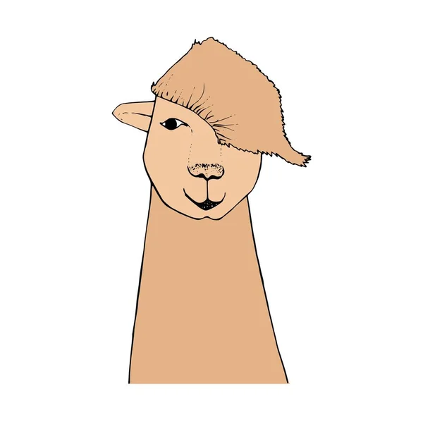 Alpaca Ručně Kreslené Kreslené Karikatury Kreslit Výtvarné Prvky Stock Vektorové — Stockový vektor