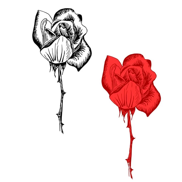 Orijinal Rose Seti Tek Renkli Kırmızı Mürekkepli Çizimi Çiçek Tasarımı — Stok Vektör