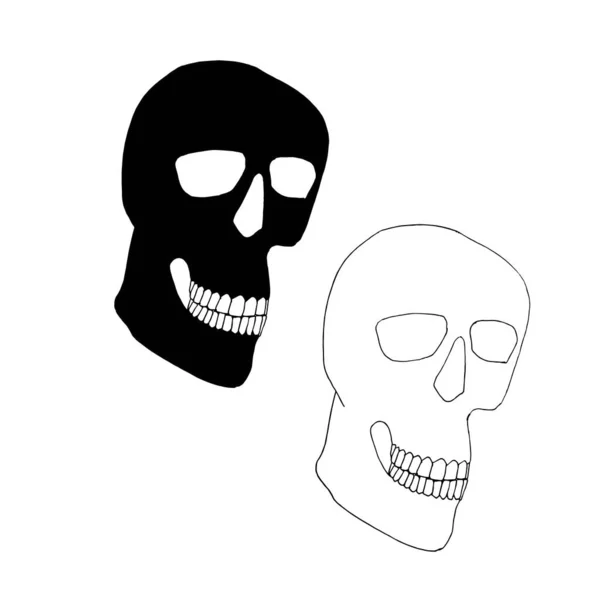 Skull Profil Ručně Kreslený Grafický Inkoust Skica Stock Vektorové Ilustrace — Stockový vektor